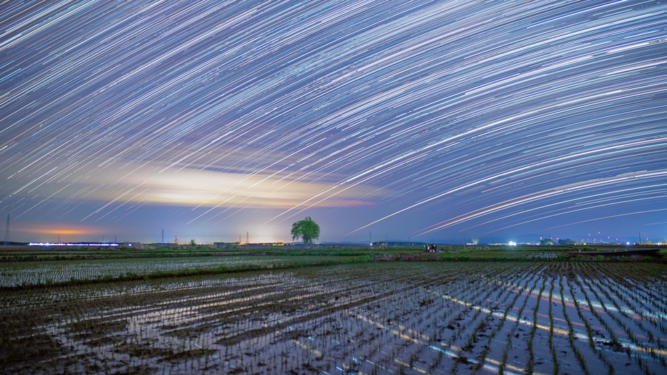 星空相冊丨“星禾”有約，初夏“黑土糧倉”鋪展稻田星光畫卷
