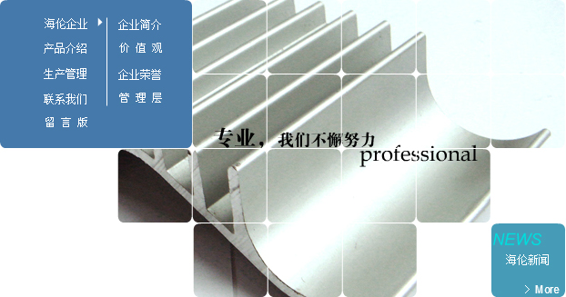 潛在的金融危機與治理路徑