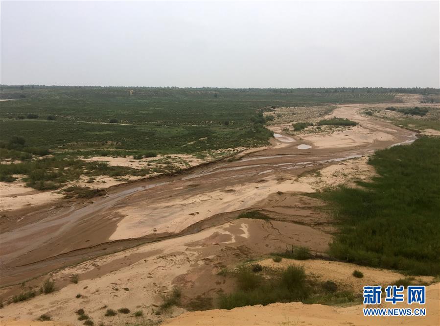 (新華全媒頭條·在習(xí)近平新時代中國特色社會主義思想指引下——新時代新作為新篇章·圖文互動)(5)綠富同興畫卷在沙海中鋪展——庫布其沙漠生態(tài)治理紀(jì)實(shí)