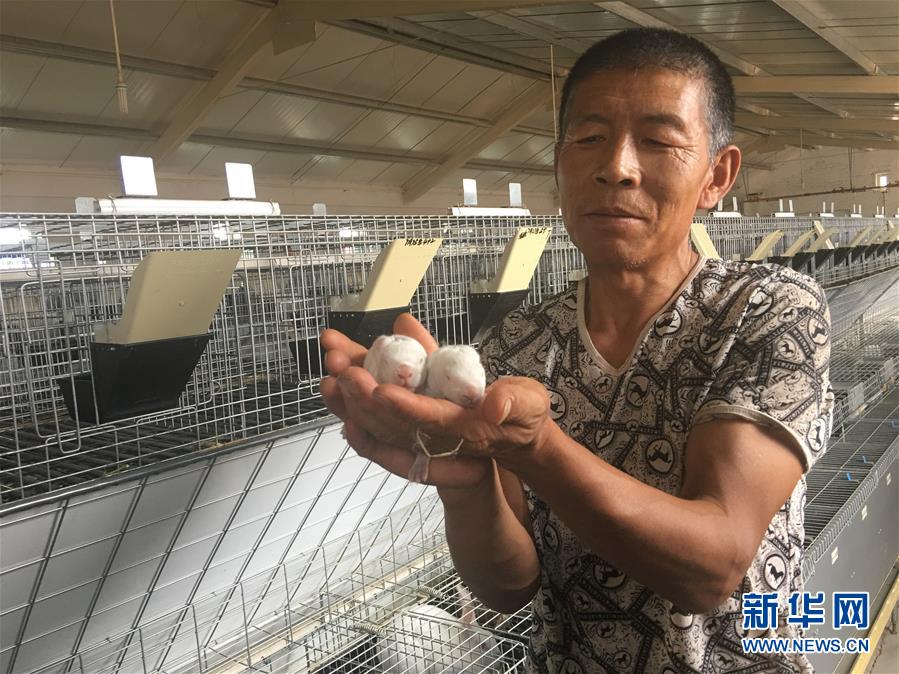 (新華全媒頭條·在習(xí)近平新時代中國特色社會主義思想指引下——新時代新作為新篇章·圖文互動)(10)綠富同興畫卷在沙海中鋪展——庫布其沙漠生態(tài)治理紀(jì)實(shí)