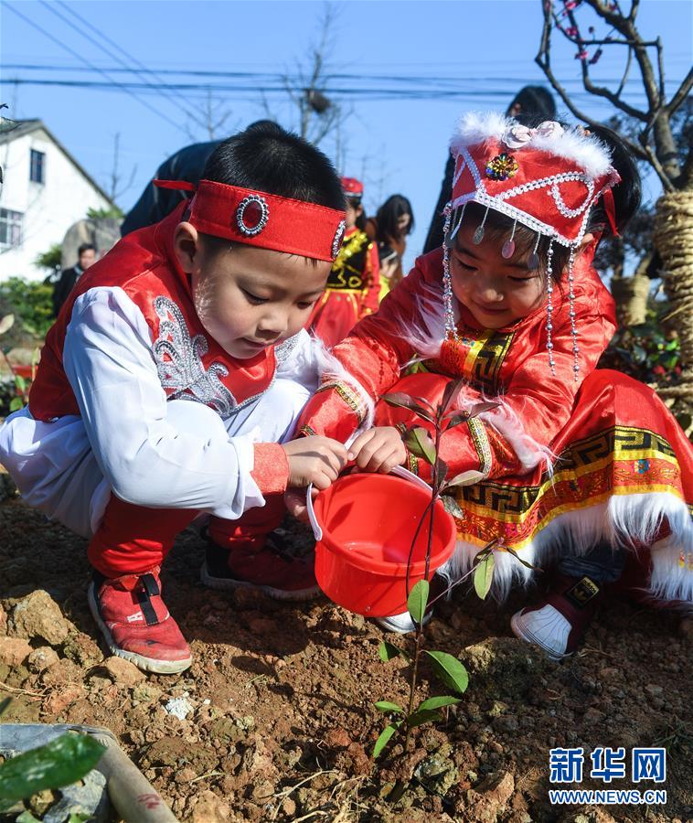 (社會(huì))(3)多民族兒童共迎植樹(shù)節(jié)