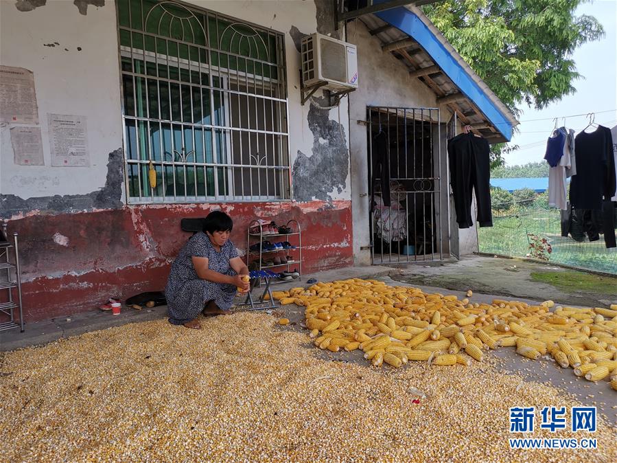 （新華視點(diǎn)·聚焦餐桌外的浪費(fèi)·圖文互動(dòng)）（3）農(nóng)戶儲(chǔ)糧損失達(dá)8%！設(shè)施普遍簡陋，蟲害霉變堪憂