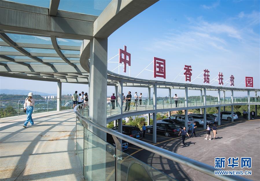（新華全媒頭條·走向我們的小康生活·圖文互動(dòng)）（2）特殊之年，荊楚大地書寫不平凡的答卷