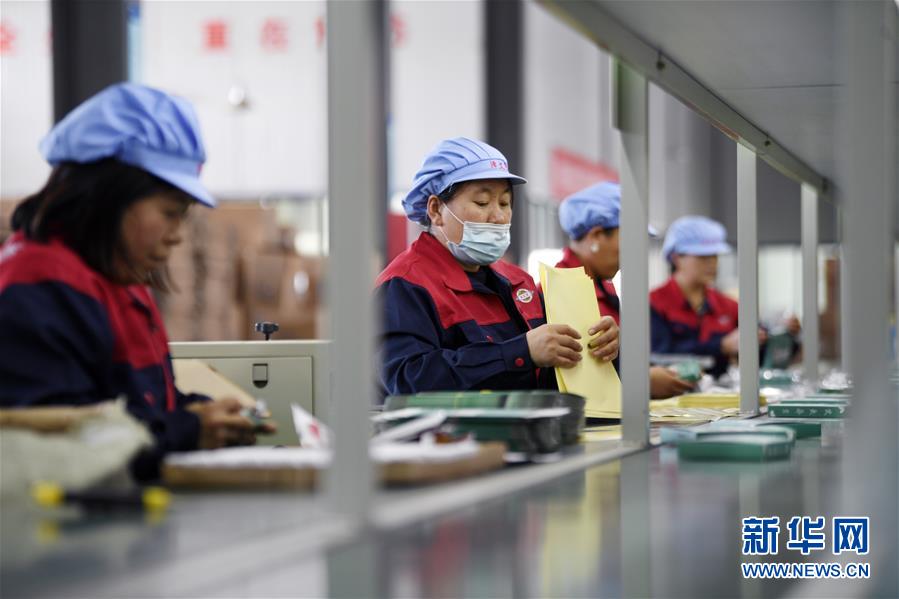 （在習近平新時代中國特色社會主義思想指引下——新時代新作為新篇章·習近平總書記關切事·圖文互動）（1）“綠色銀行”發工資、“股東”分紅來敲門……——探索長效脫貧致富新機制見聞