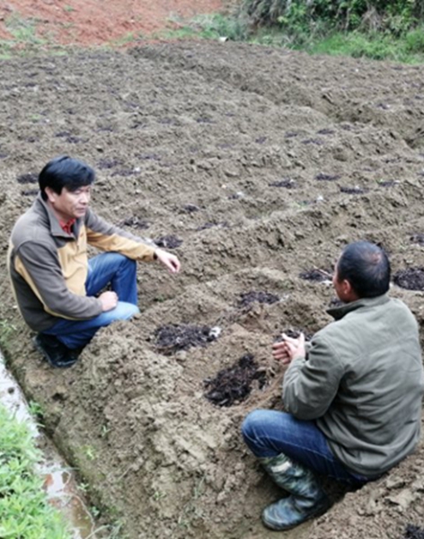華能駐福建上洋村第一書記鄭永 點滴小事，打造穩穩的幸福