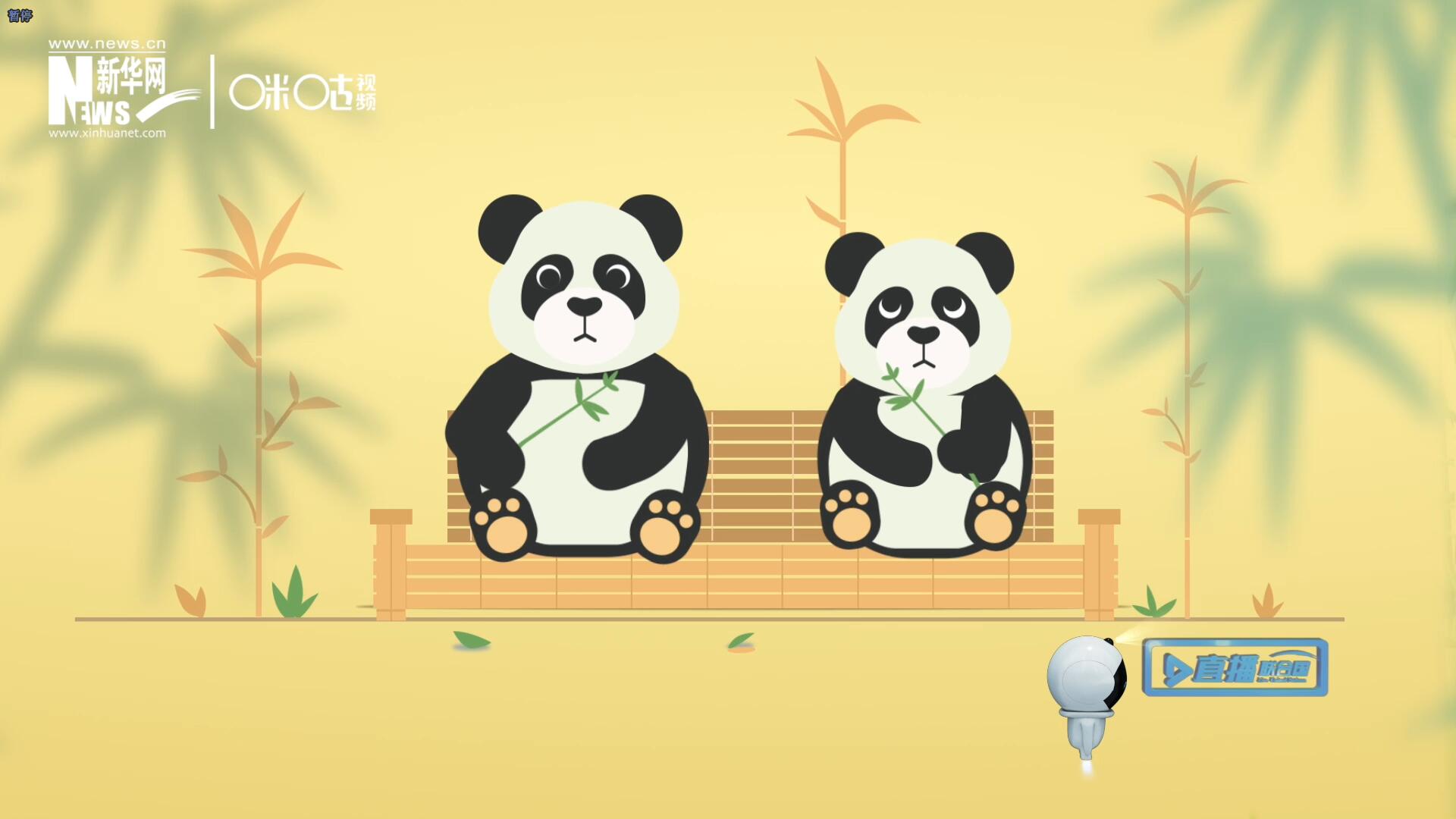 “哥哥你看，又有人來(lái)看我們了。”“有什么奇怪的，我們可是聯(lián)合國(guó)‘最萌’的大使啊！”。