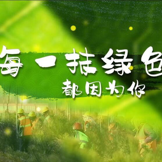 千年秀林，每一抹綠色都因為你