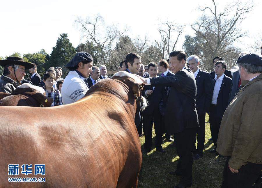 當地時間7月19日，正在對阿根廷進行國事訪問的國家主席習近平參觀共和國莊園，考察阿根廷農牧業，了解阿根廷農牧民文化特色。新華社記者馬占成攝 