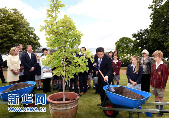 11月18日，國家主席習近平在澳大利亞塔斯馬尼亞州與朗塞斯頓市斯科奇－歐克伯恩小學的小學生共同植樹。新華社記者 饒愛民 攝